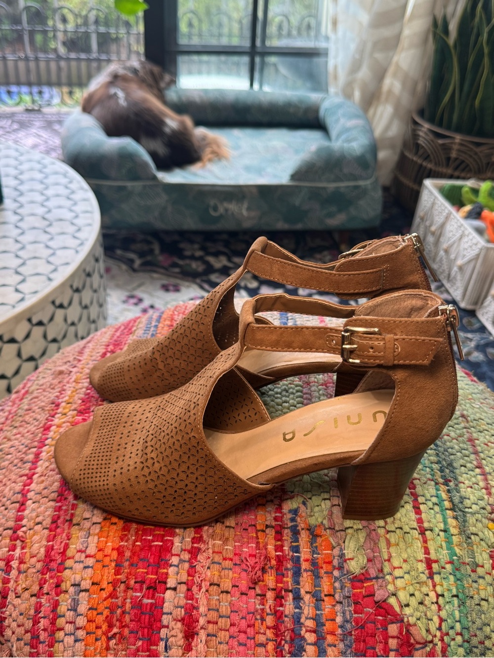 🟤🤎 Unisa Brown Perforated T-Strap Block Heel Sandals 🤎🟤 - Picture 6 of 8